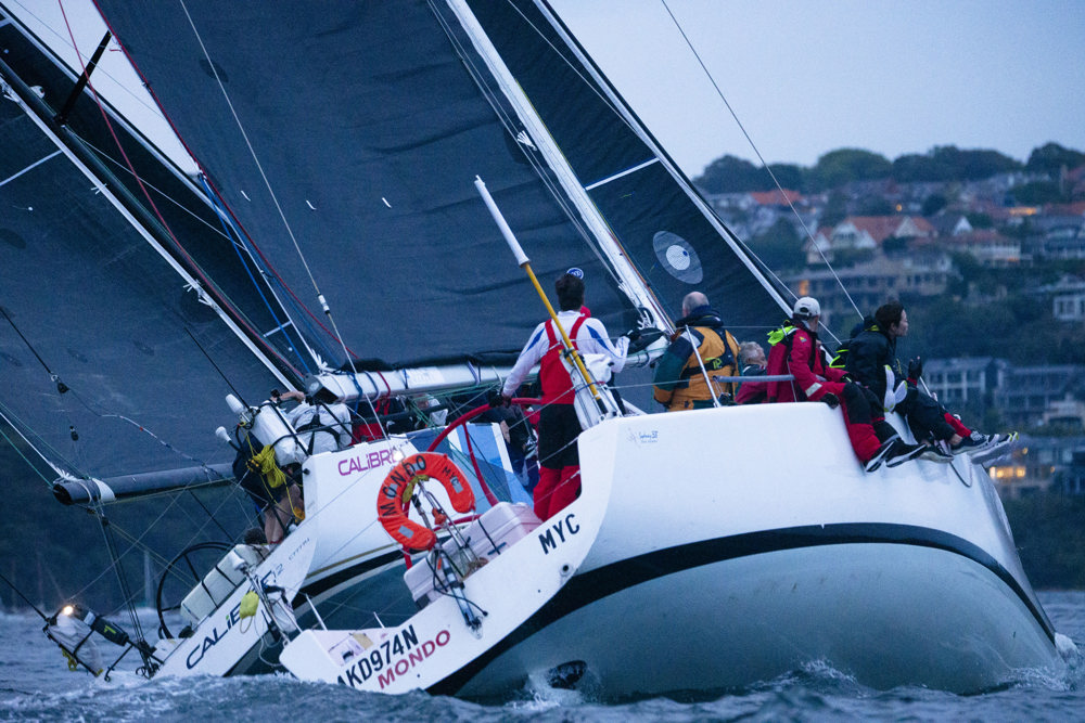 2024 Tollgate Islands Race start - Mondo.  Image: Ashley Dart