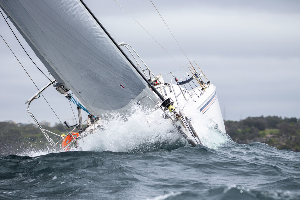Audi Centre Sydney | 2024 Bird Island Race start - Sailor Moon.   Image: CYCA | Ashley Dart