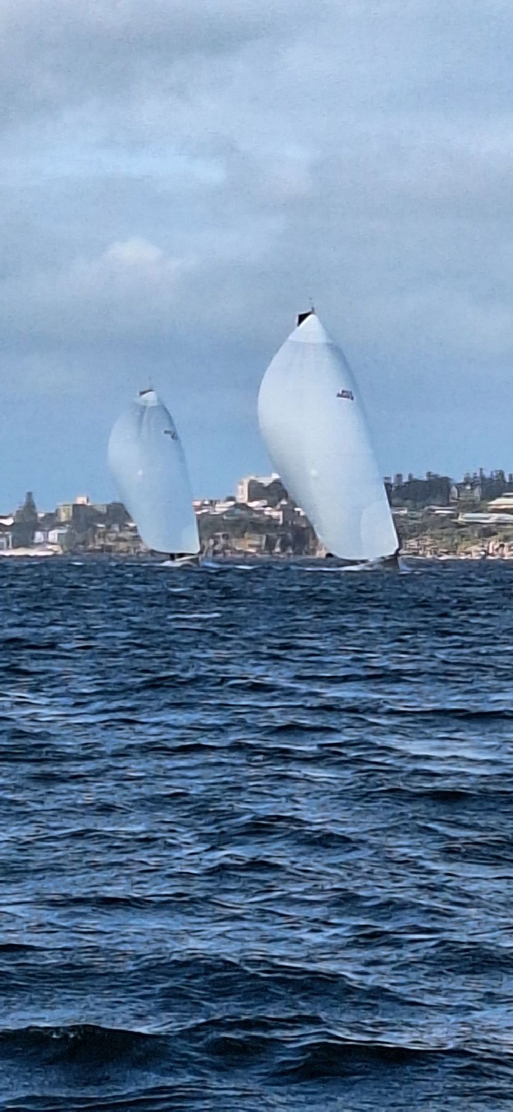 No Limit leading Caro to the finish.   Image: Jackie Sapir