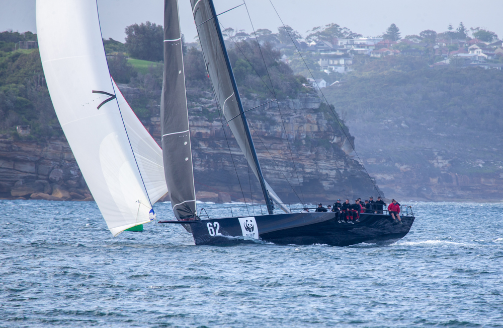 Whisper   Image: CYCA | David Hislop
