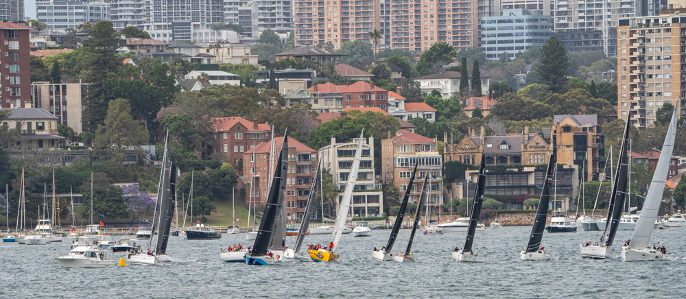 2024/25 Audi Centre Sydney BWPS | Bird Island Race start.   Image: Mike Selbie