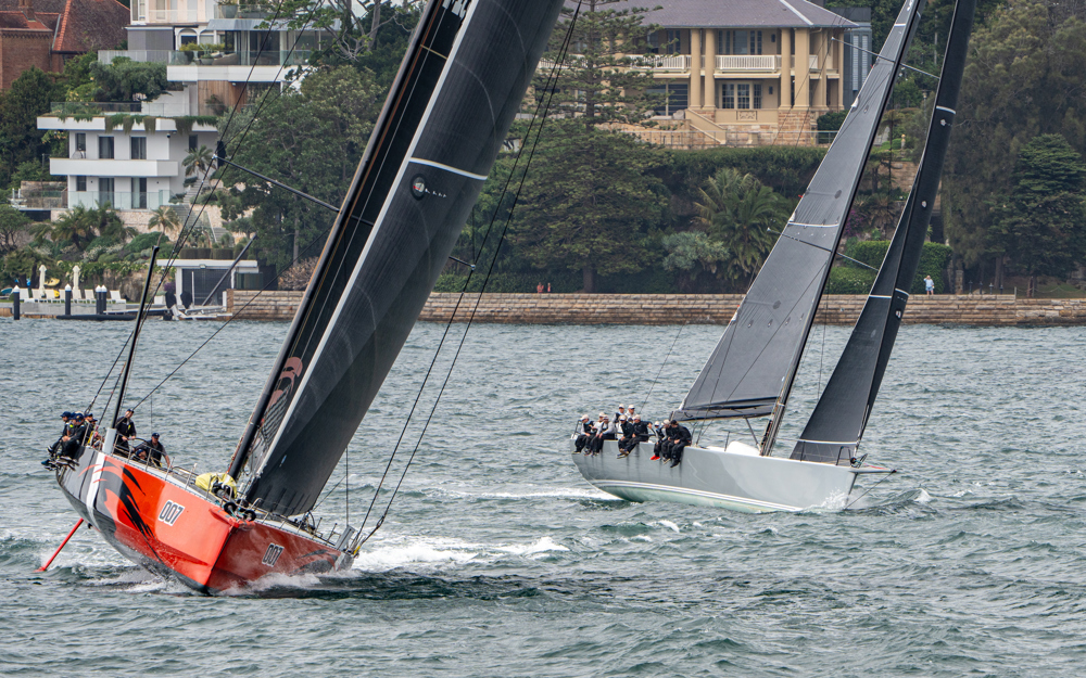 2024/25 Audi Centre Sydney BWPS | Bird Island Race start - Master Lock Comanche (l) and No Limit.   Image: Mike Selbie