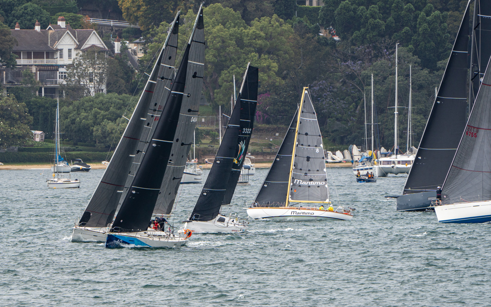 2024/25 Audi Centre Sydney BWPS | Bird Island Race start.   Image: Mike Selbie