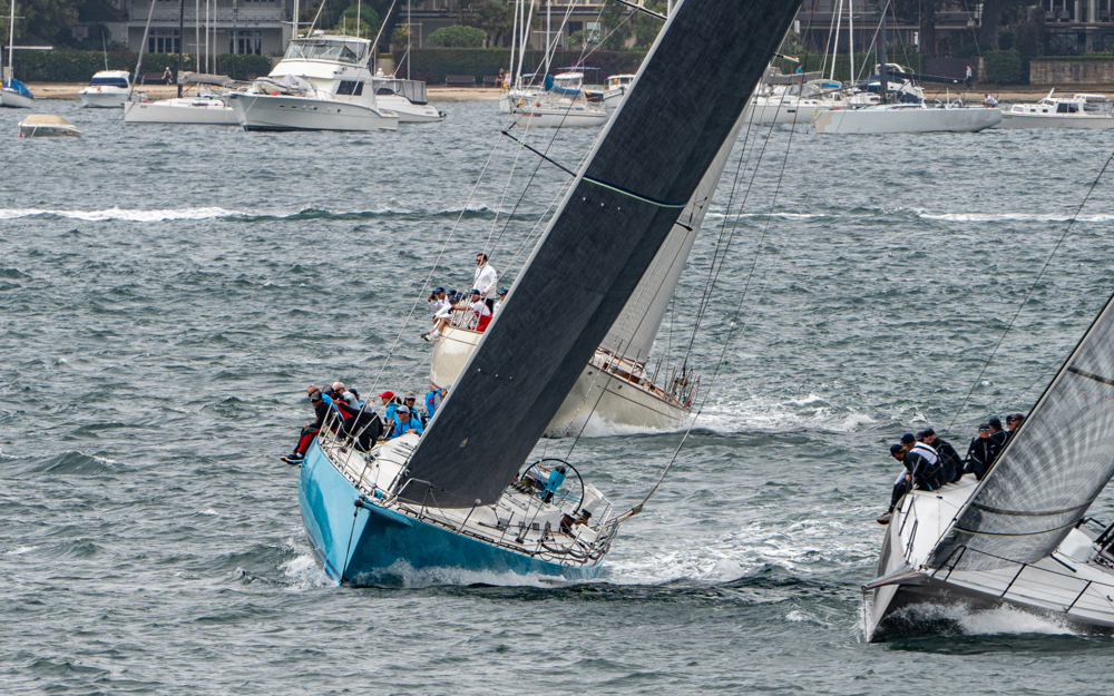 2024/25 Audi Centre Sydney BWPS | Bird Island Race start.   Image: Mike Selbie