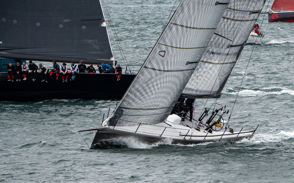 2024/25 Audi Centre Sydney BWPS | Bird Island Race start - Caro.   Image: Mike Selbie