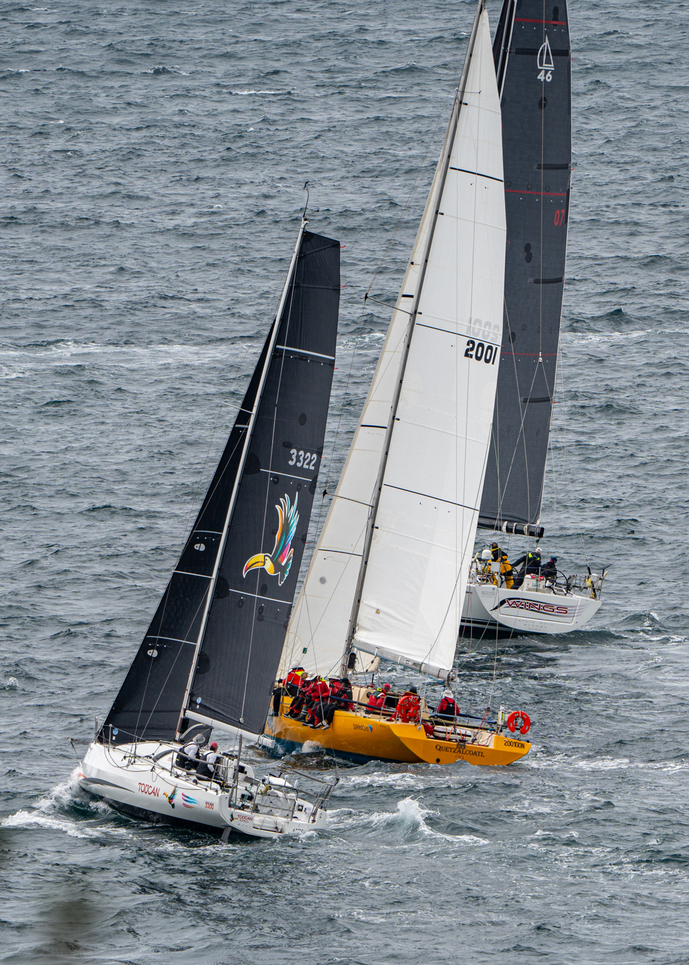 2024/25 Audi Centre Sydney BWPS | Bird Island Race start - Toucan, Quetzalcoatl and Wings.   Image: Mike Selbie