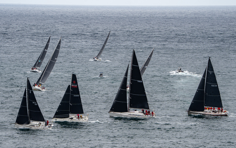 2024/25 Audi Centre Sydney BWPS | Bird Island Race start.   Image: Mike Selbie