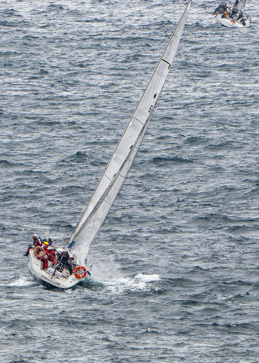 2024/25 Audi Centre Sydney BWPS | Bird Island Race start - Chancellor.   Image: Mike Selbie