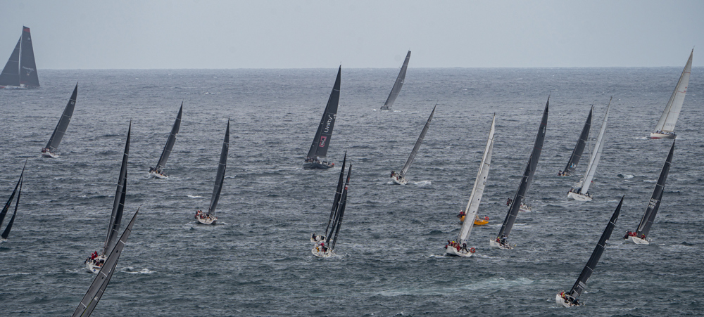 2024/25 Audi Centre Sydney BWPS | Bird Island Race start.   Image: Mike Selbie
