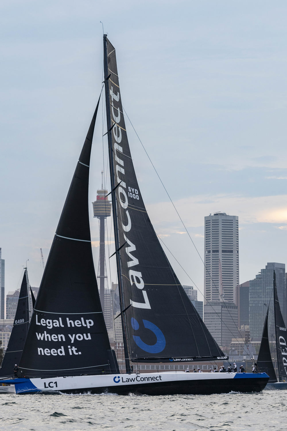 Cabbage Tree Island Race 2024 - LawConnect