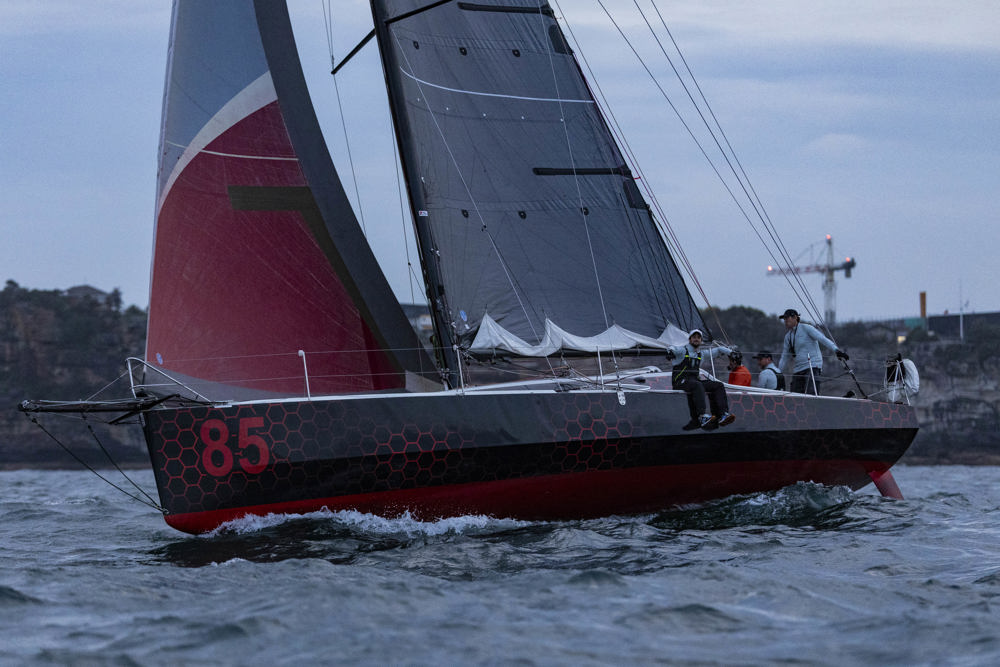 Cabbage Tree Island Race 2024 - Le Tiroflan