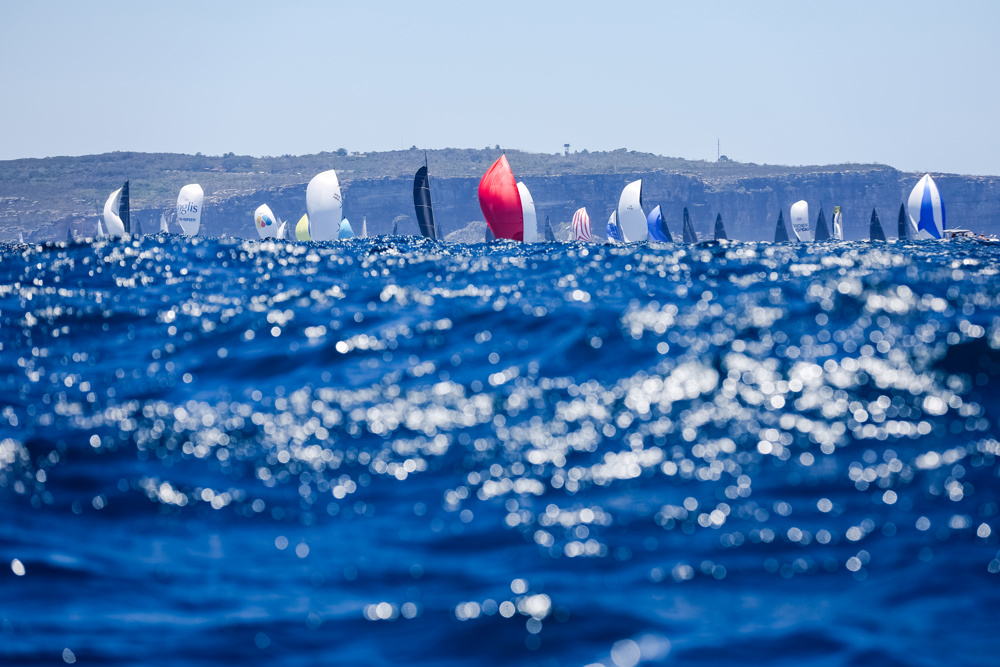   Image: CYCA | Salty Dingo