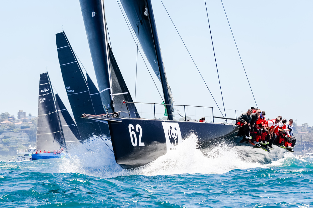 Whisper.     Image: CYCA | Salty Dingo