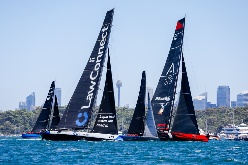   Image: CYCA | Salty Dingo