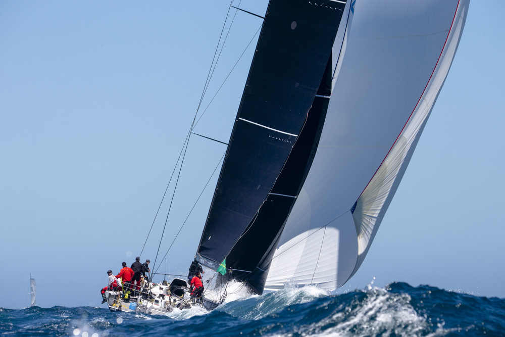 Alive.    Image: CYCA | Ashley Dart