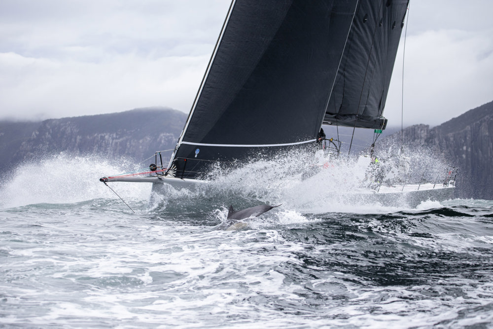 No Limit.    Image: CYCA | Ashley Dart