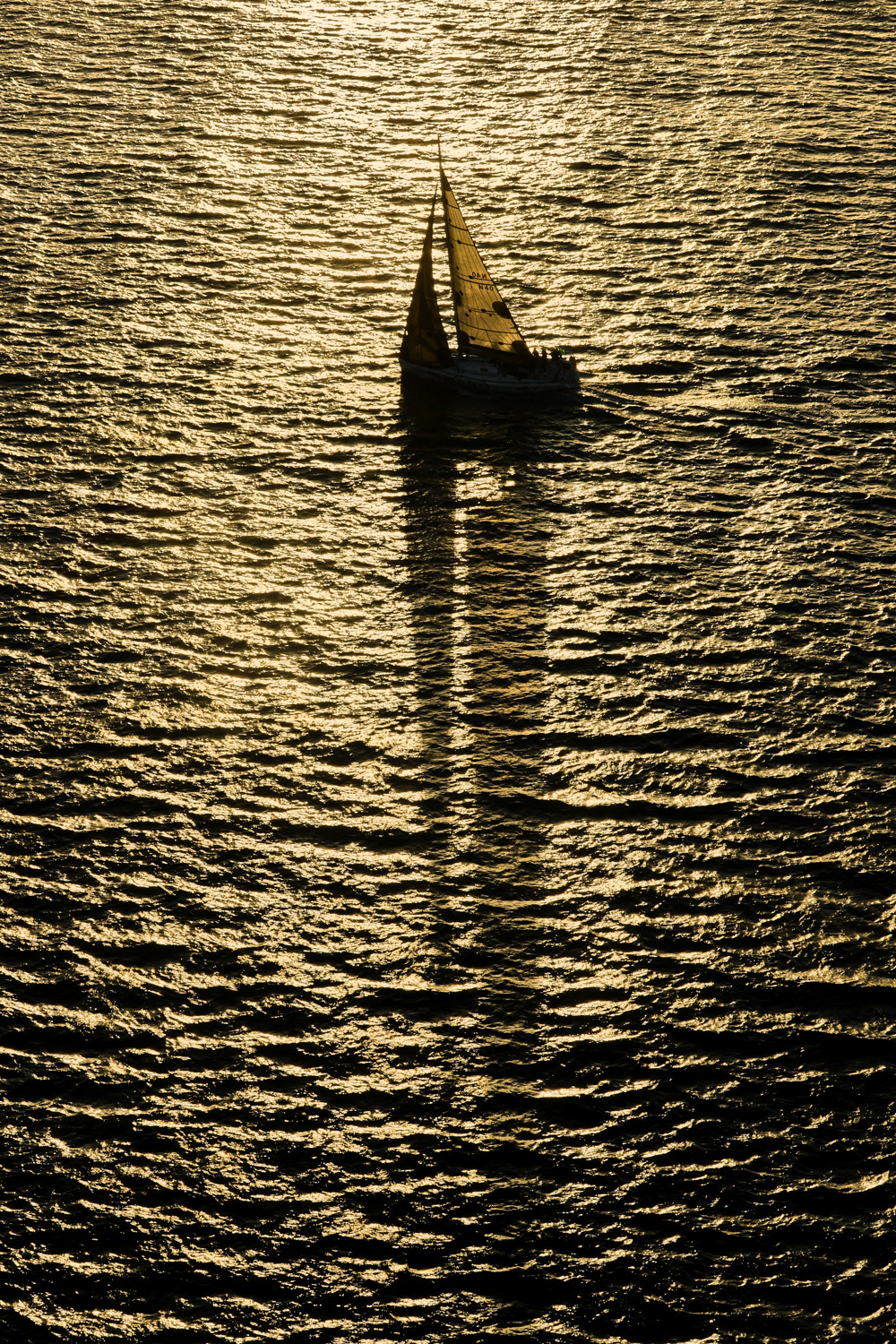 Sydney 40 Mako.     Image: Rolex | Carlo Borlenghi