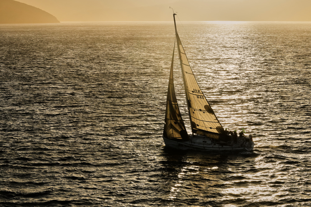 Sydney 40 Mako.     Image: Rolex | Carlo Borlenghi