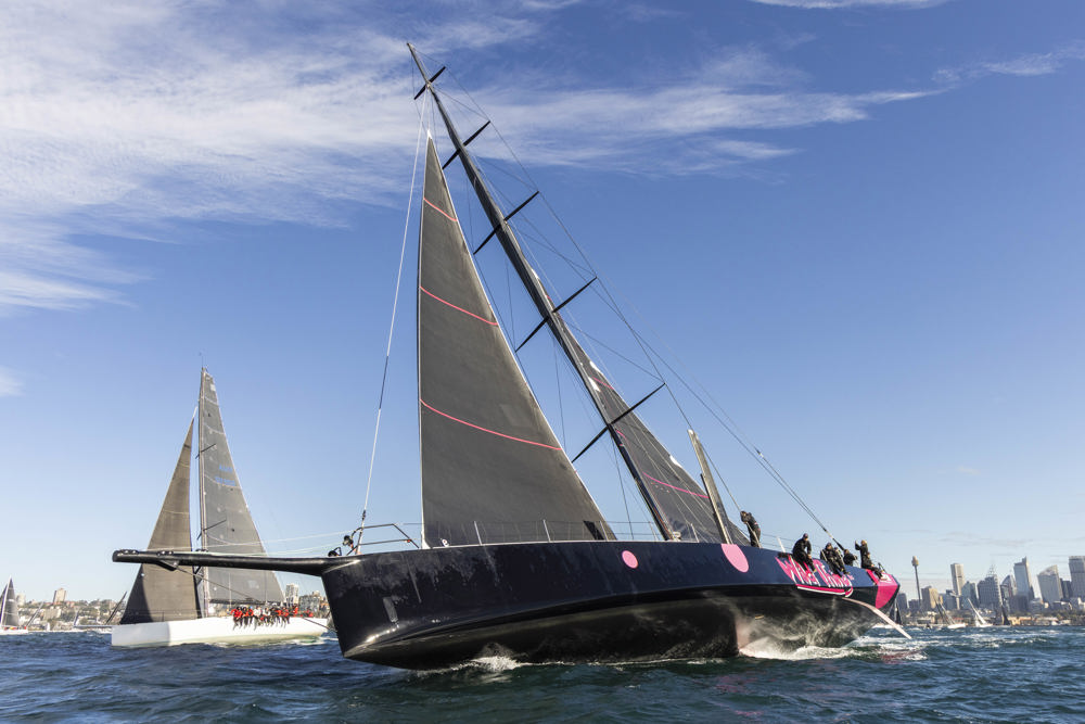 Noakes Sydney Gold Coast 2025 - Wild Thing 100.  