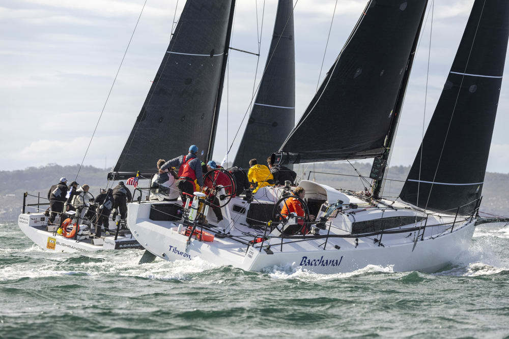 Noakes Sydney Gold Coast 2025 - Bacchanal.  