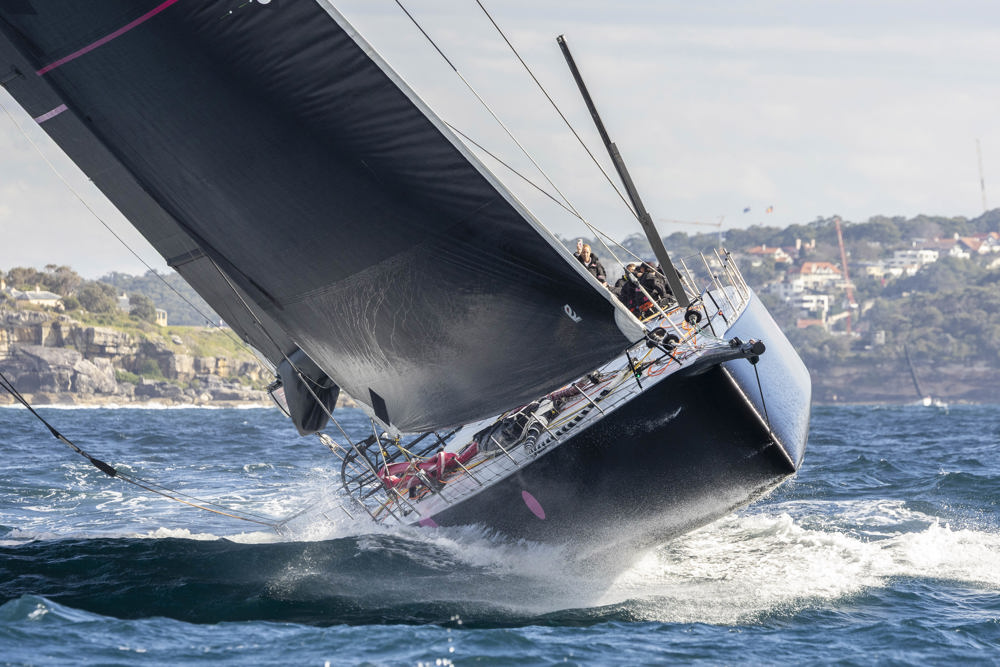 Noakes Sydney Gold Coast 2025 - Wild Thing 100.  