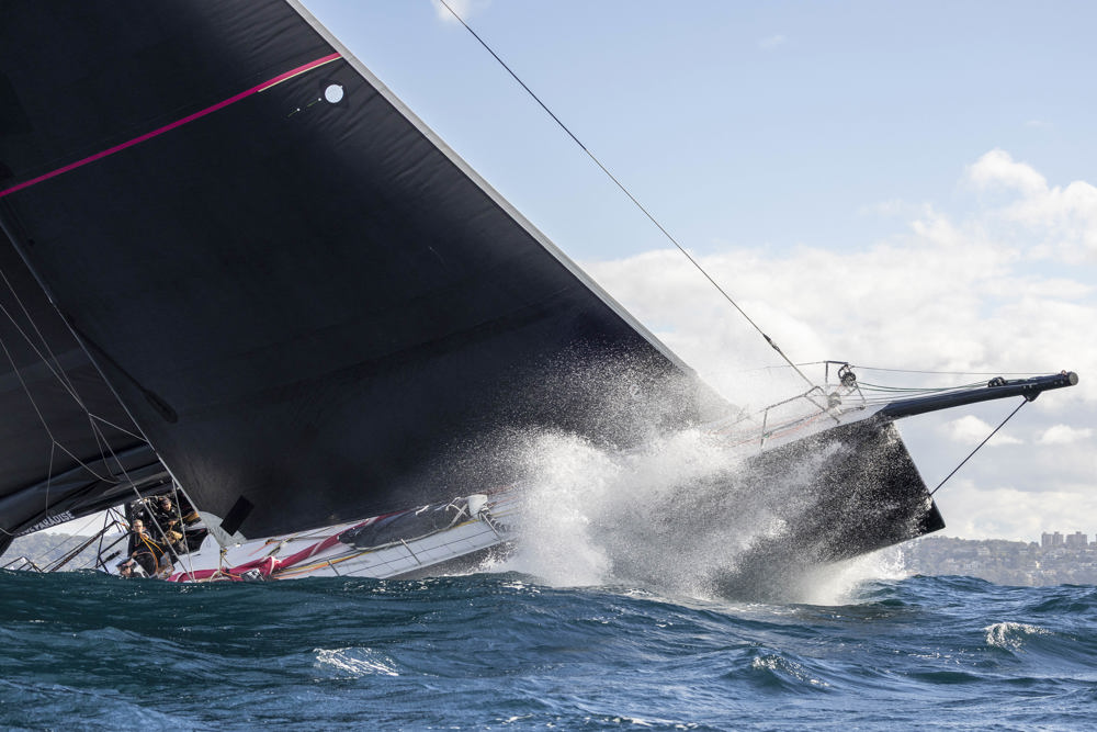 Noakes Sydney Gold Coast 2025 - Wild Thing 100.  