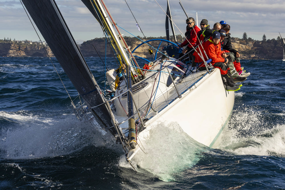 Noakes Sydney Gold Coast 2025 - The Goat.  