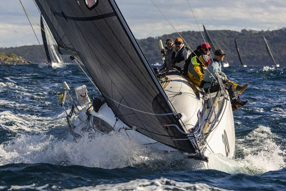 Noakes Sydney Gold Coast 2025 - Philosopher.  