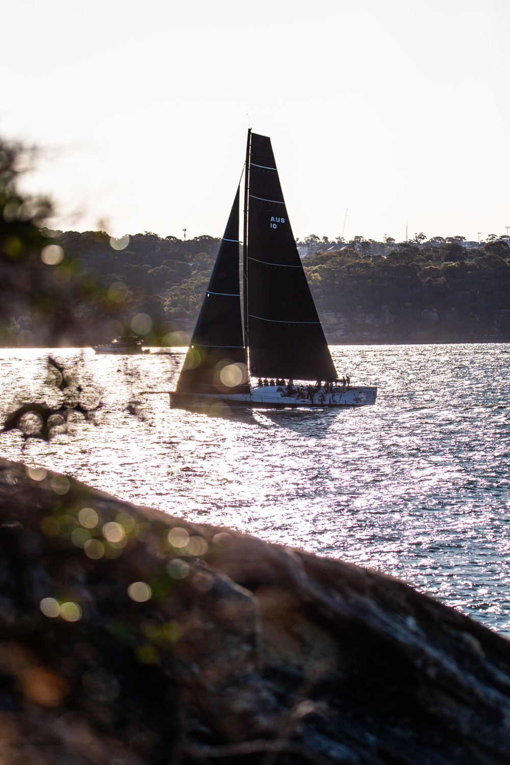 Moneypenny approaching the finish.   Image: CYCA | Ashley Dart