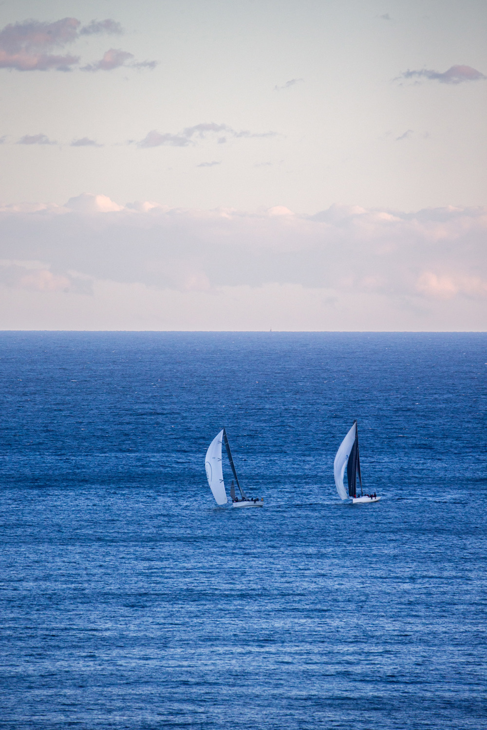 Highly Sprung leading Koa.   Image: CYCA | Ashley Dart