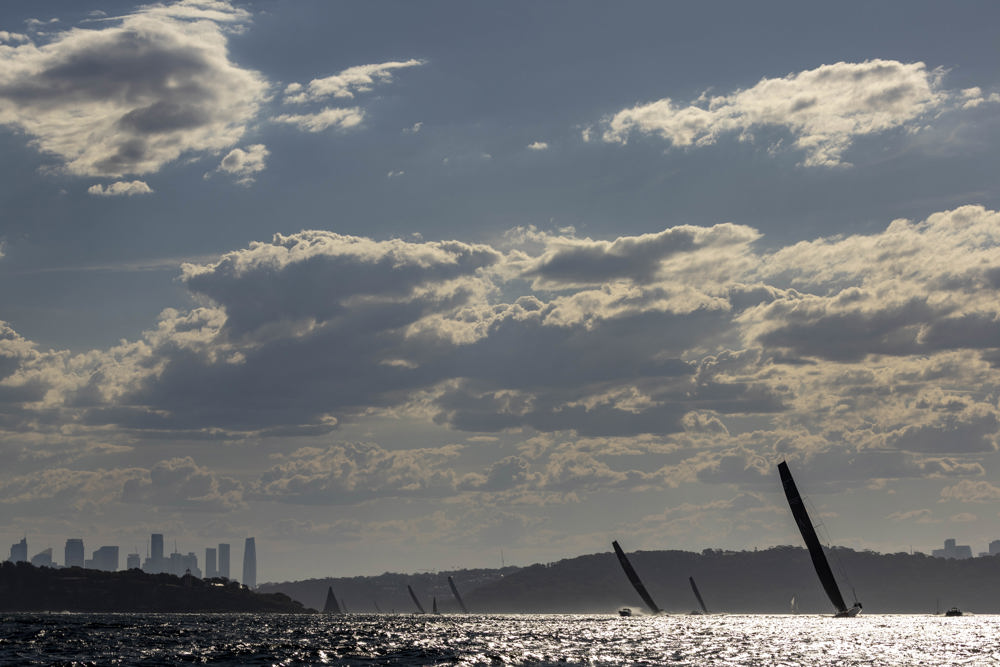 Cabbage Tree Island 2025.    Image: CYCA/Andrea Francolini