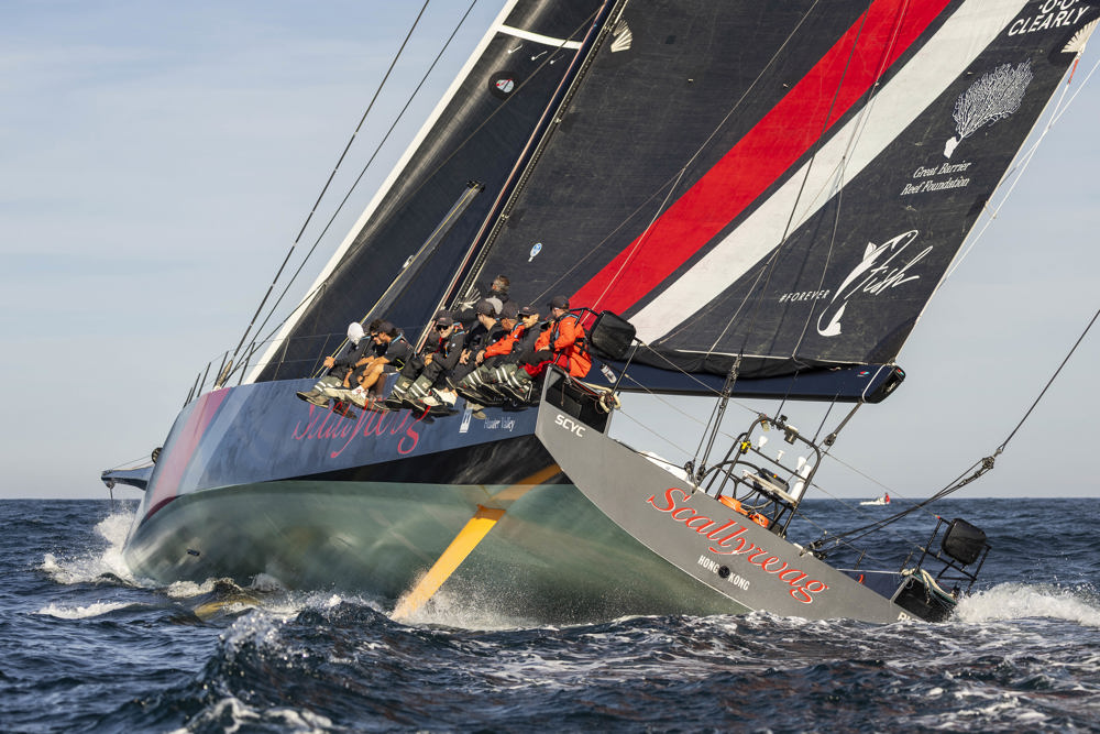 Cabbage Tree Island 2025 - SHK Scallywag.    Image: CYCA/Andrea Francolini