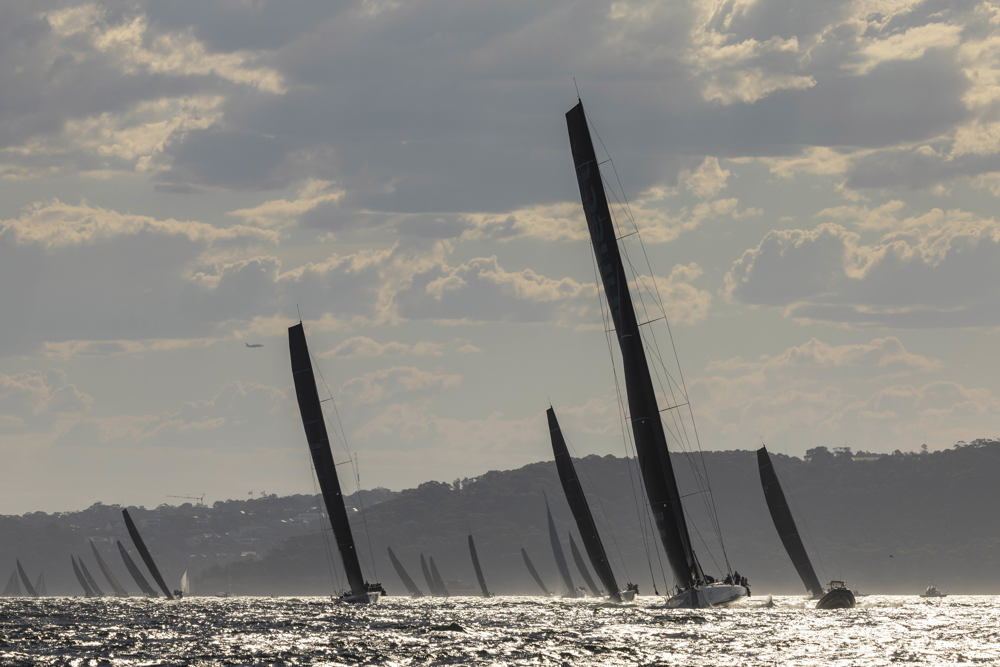 Cabbage Tree Island 2025.    Image: CYCA/Andrea Francolini