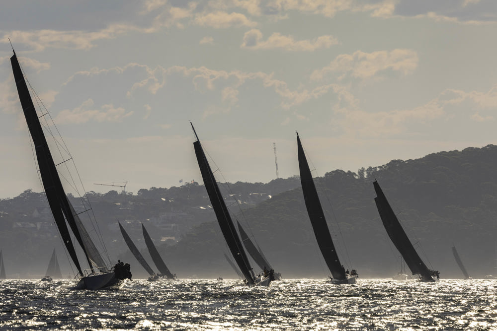 Cabbage Tree Island 2025.    Image: CYCA/Andrea Francolini