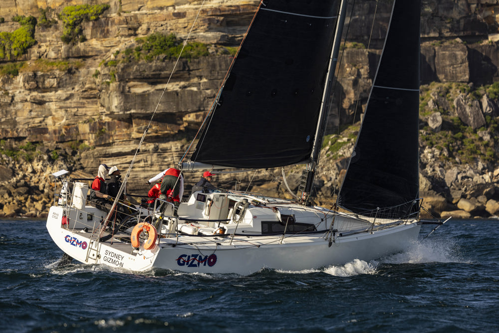 Cabbage Tree Island 2025 - Gizmo.    Image: CYCA/Andrea Francolini