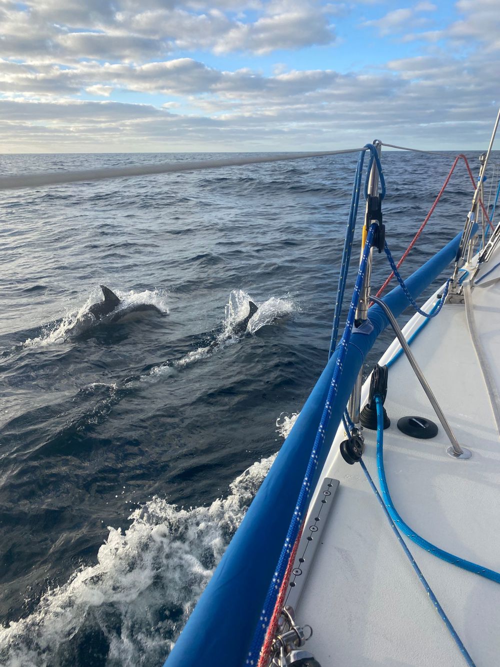 Calmer waters and dolphins visiting