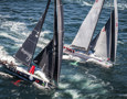 Perpetual LOYAL and Wild Oats XI neck and neck