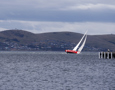 Switzerland crosses the finish line at the end of the Clipper Round the World race, a category of the Sydney to Hobart yacht race at Constitution Dock in Hobart, Monday, Dec. 30, 2013. (AAP Image/Heath Holden) NO ARCHIVING, EDITORIAL USE ONLY