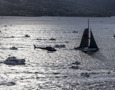 WILD OATS XI tackles the Derwent River on her way to a seventh Line Honours