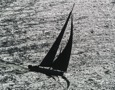 WILD OATS XI, Sail n: AUS10001, Bow n: XI, Design: Reichel Pugh 100, Owner: Robert Oatley, Skipper: Mark Richards