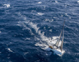 25, FRANTIC (NSW), Sail No: GBR5211L, Design: Tp52 Donovan, Owner: Michael Martin, Skipper: Michael Martin