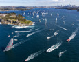 The fleet leaving the harbour