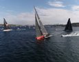 Comanche leading Wild Oats XI and Black Jack up the harbour