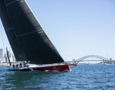 Comanche leads the fleet up Sydney Harbour