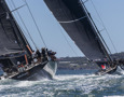 Sydney, Australia - December 8, 2020: "Infotrack and Black Jack" during the SOLAS Big Boat Challenge. (Photo by Andrea Francolini)