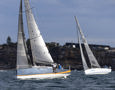 Noakes Sydney Gold Coast 2023 - Mistral and Minnie