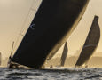 Cabbage Tree Island Race 2023 - Andoo Comanche being chased by SHK Scallywag