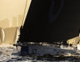 Cabbage Tree Island Race 2023 - Lawconnect