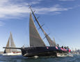 Noakes Sydney Gold Coast 2025 - Wild Thing 100.  