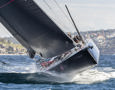 Noakes Sydney Gold Coast 2025 - Wild Thing 100.  